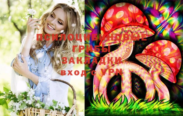 твердый Аркадак